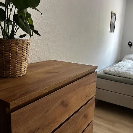 Nyrenoveret Med Skov, Park Naer Stranden